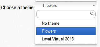 ../_images/dmg_0.3_05_page_config_theme.png