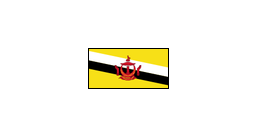 { A [label = "", shape = "nationalflag.brunei"]; }