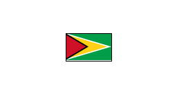 { A [label = "", shape = "nationalflag.guyana"]; }