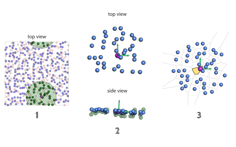 ../_images/apl_lipids.png