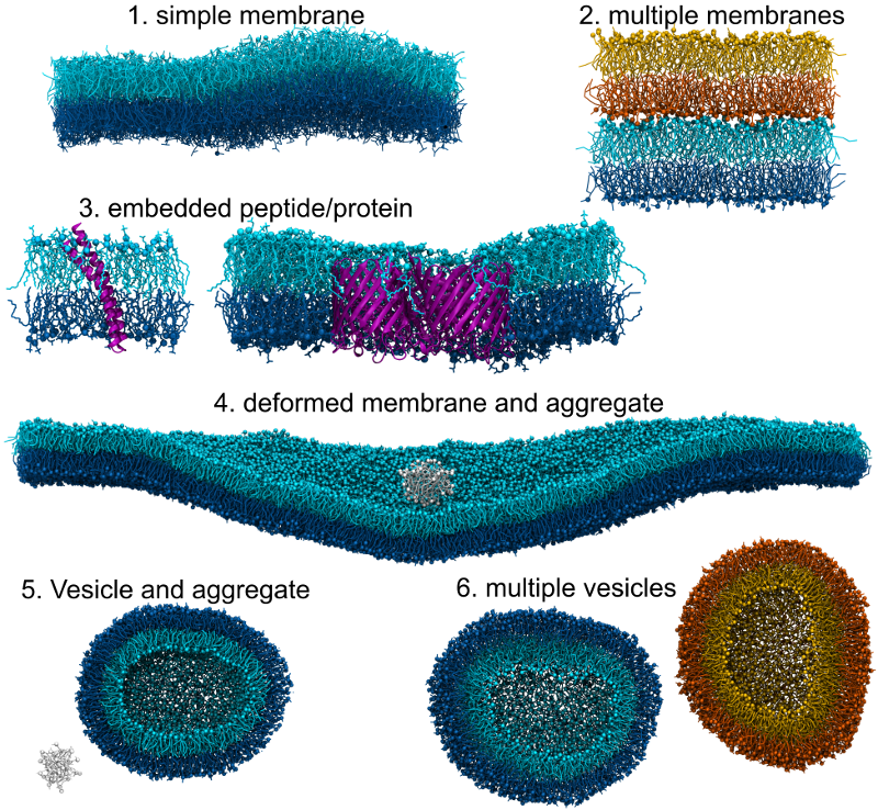 ../_images/membrane-identification_examples.png